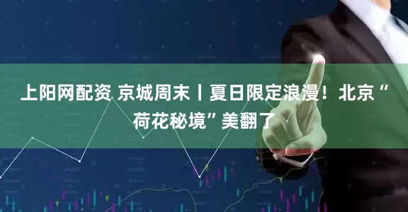 上阳网配资 京城周末丨夏日限定浪漫！北京“荷花秘境”美翻了