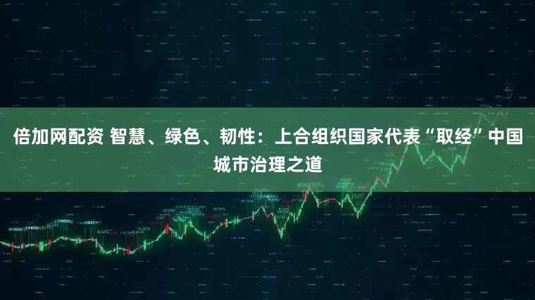 倍加网配资 智慧、绿色、韧性：上合组织国家代表“取经”中国城市治理之道