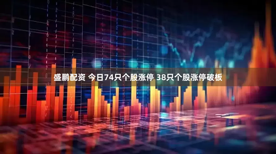 盛鹏配资 今日74只个股涨停 38只个股涨停破板